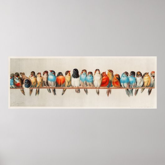 Tripische kleurrijke vogels op een tak poster (Voorkant)