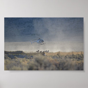 Triple B Round-up Butte Valley Nevada Poster