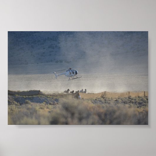 Triple B Round-up Butte Valley Nevada Poster (Voorkant)