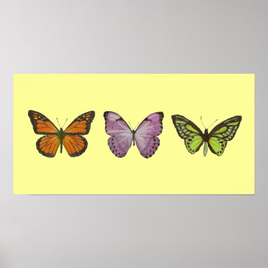 Triple Butterfly Poster Horizontal (Voorkant)