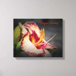 ‘Triple Cherries’ Daglelie Kunst Canvas Afdruk