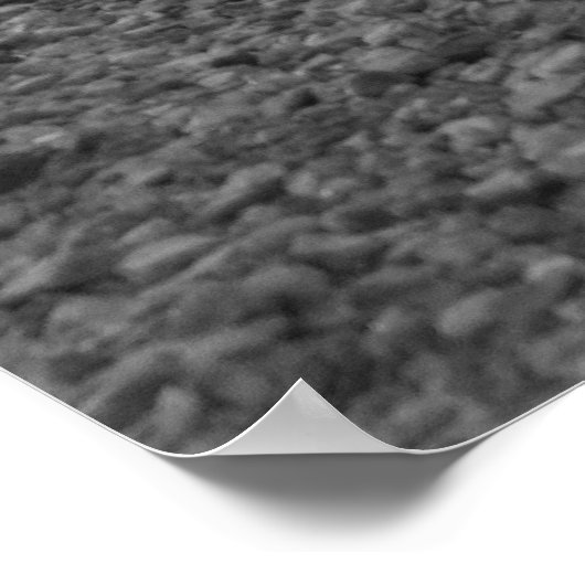 Triple Crossings Poster (Hoek)