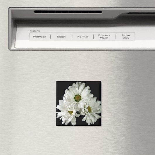 Triple Delight Magnet (Insitu (Vaatwasser))