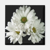 Triple Delight Magnet (Voorkant)