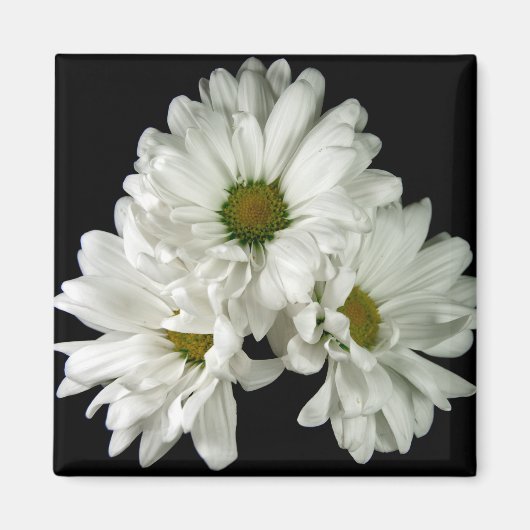 Triple Delight Magnet (Voorkant)