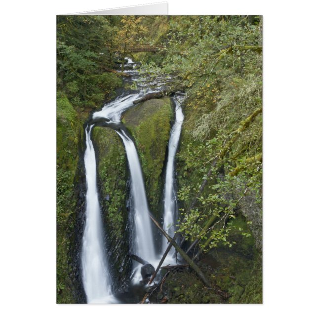 Triple Falls, Columbia River Gorge (Voorkant)
