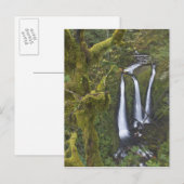 Triple Falls, Columbia River Gorge Briefkaart (Voorkant / Achterkant)