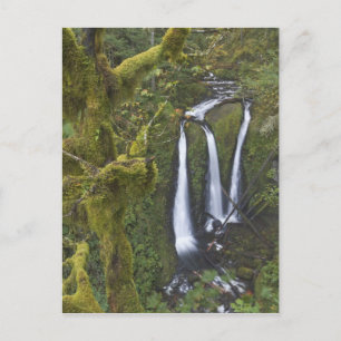 Triple Falls, Columbia River Gorge Briefkaart