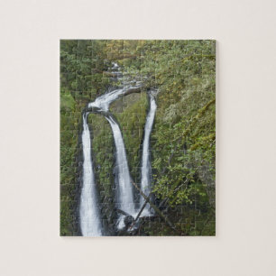 Triple Falls, Columbia River Gorge Legpuzzel
