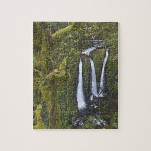 Triple Falls, Columbia River Gorge Legpuzzel (Verticaal)