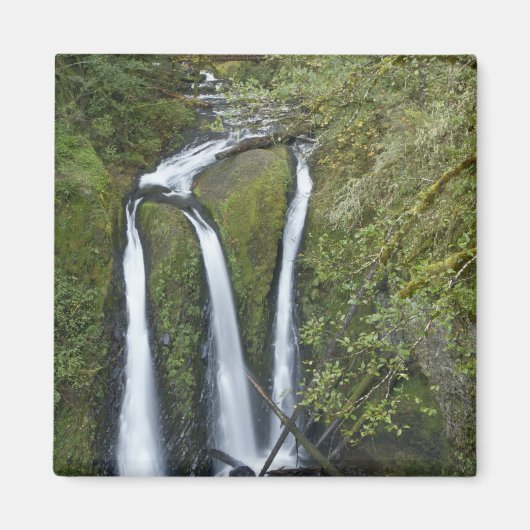 Triple Falls, Columbia River Gorge Magneet (Voorkant)