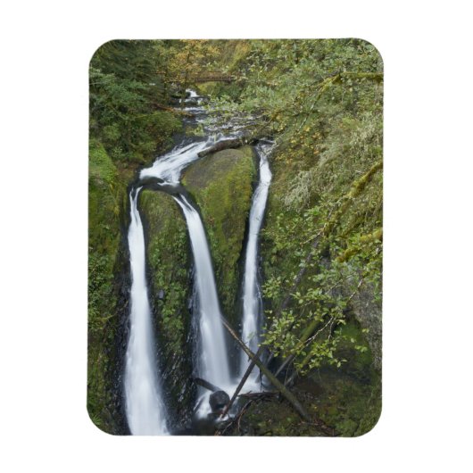 Triple Falls, Columbia River Gorge Magneet (Verticaal)