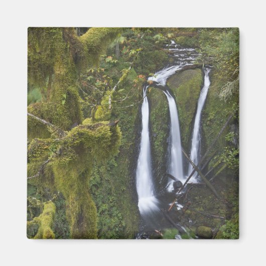 Triple Falls, Columbia River Gorge Magneet (Voorkant)