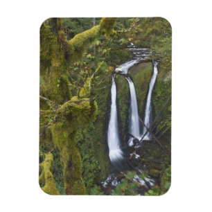 Triple Falls, Columbia River Gorge Magneet