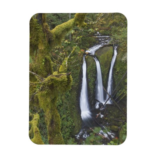 Triple Falls, Columbia River Gorge Magneet (Verticaal)
