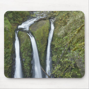 Triple Falls, Columbia River Gorge Muismat