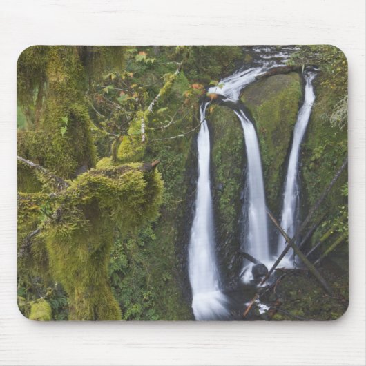 Triple Falls, Columbia River Gorge Muismat (Voorkant)