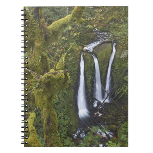 Triple Falls, Columbia River Gorge Notitieboek (Voorkant)