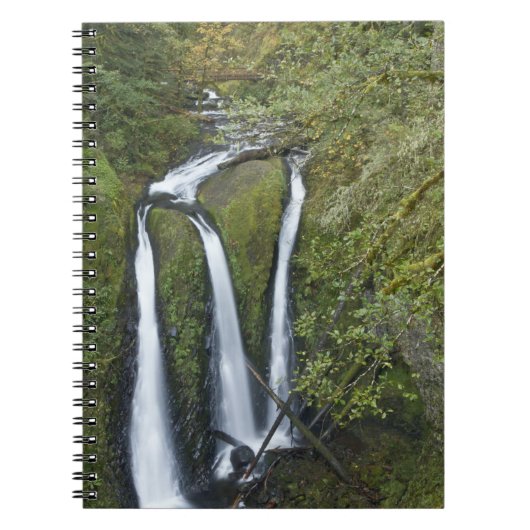 Triple Falls, Columbia River Gorge Notitieboek (Voorkant)