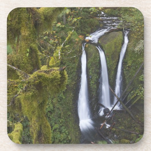 Triple Falls, Columbia River Gorge Onderzetter (Voorkant)