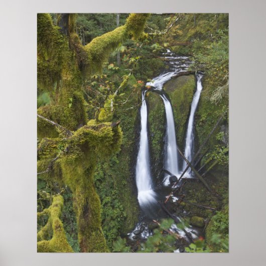 Triple Falls, Columbia River Gorge Poster (Voorkant)