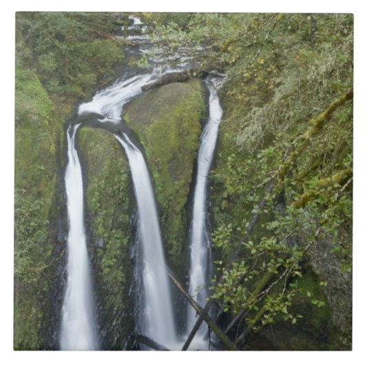 Triple Falls, Columbia River Gorge Tegeltje (Voorkant)