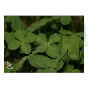 Triple Luck-kaart