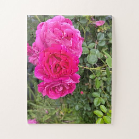 Triple Pink Roses Legpuzzel (Verticaal)