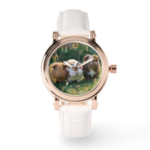 Triple Squeak: drie Baby-cavia's, Horloge