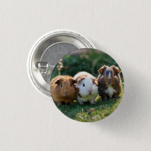 Triple Squeak: Trio van Schattige Baby-cavia's Ronde Button 3,2 Cm