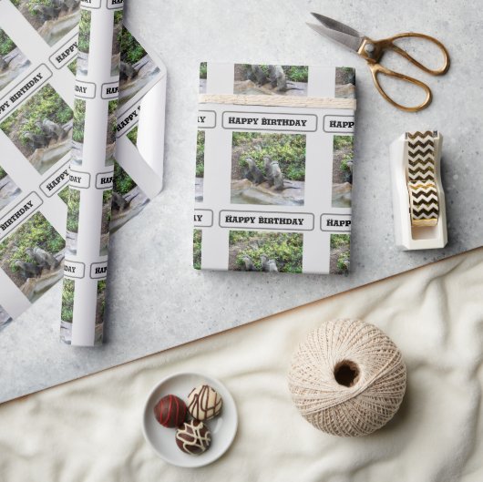 *Triple Trouble: De avonturen van Otter Triplet Cadeaupapier (Crafts)