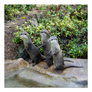 *Triple Trouble: De avonturen van Otter Triplet Perfect Poster