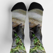 *Triple Trouble: De avonturen van Otter Triplet Sokken (Top)