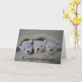 Triplet beren gefeliciteerd kaart (Gele Bloem)