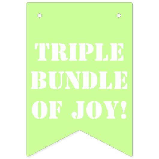 Triplet Boy's Blue Green Bunting Banner (Eerste vlag)