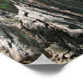 "Tripletrees", Muir Bossen Poster (Hoek)