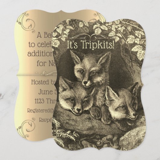 Triplets baby fox baby shower uitnodiging (Voorkant / Achterkant)