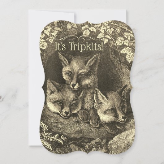 Triplets  baby fox baby shower uitnodiging (Voorkant)