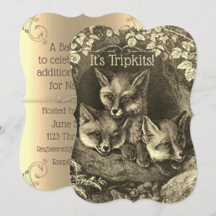 Triplets  baby fox baby shower-uitnodiging kaart