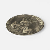 Triplets  baby vossenbos douche papieren bordje (Gekanteld)