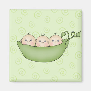 Triplets magnet
