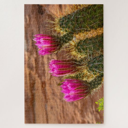Triplets van aardbeiegelcactus legpuzzel (Verticaal)
