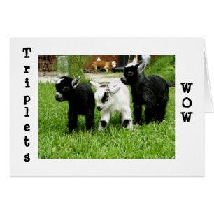 TRIPLETS=WOW=FANTASTIEK