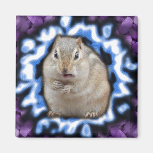 Tripmunk magneet (Voorkant)