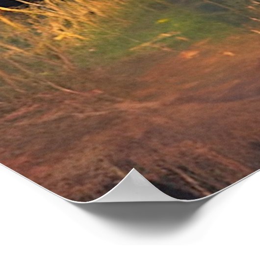 Tripping Balls Art - Fairy Lands Poster (Hoek)