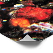 Trippy Leopard Moray Poster (Hoek)