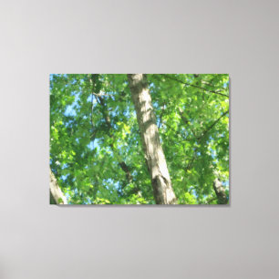Triptych Forest Canvas Afdruk