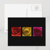 Triptyse Rozen oranje geel roze Briefkaart (Voorkant / Achterkant)