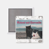 Triscat en Purrsolde magnet (Voorkant / Achterkant)