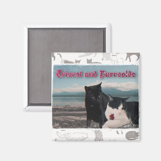 Triscat en Purrsolde magnet (Voorkant / Achterkant)